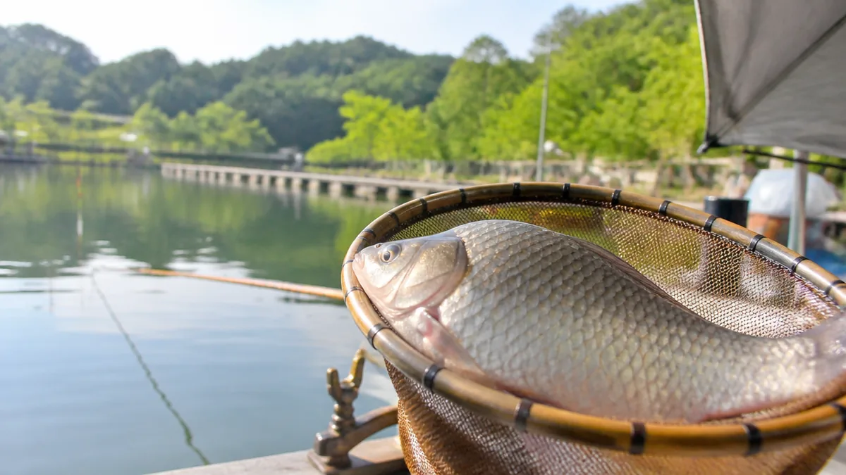 流源湖の釣果・結果を季節別に徹底解説｜初心者でも10枚超えを狙える攻略法のアイキャッチ画像