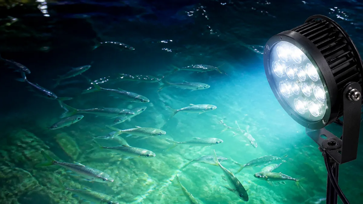 集魚灯はなぜ魚が集まる?|LED集魚灯の仕組みと光の色の違いの解説画像