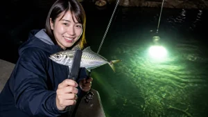 アジング集魚灯で釣果3倍？｜おすすめ・使い方・禁止県まで初心者完全ガイドのアイキャッチ画像