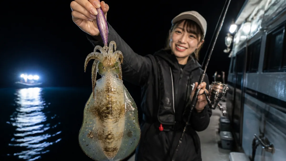 ナイトティップランとは?日中のティップランと何が違うのかの解説画像