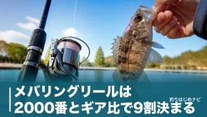 メバリングリールは2000番とギア比で9割決まる｜予算別おすすめ6機種を徹底比較のアイキャッチ画像