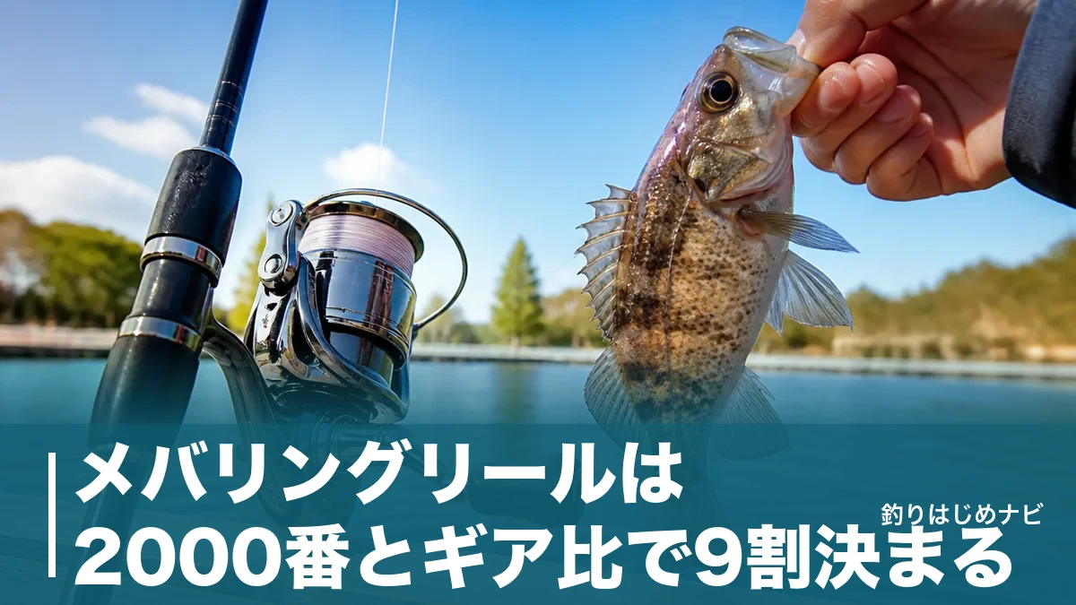 メバリングリールは2000番とギア比で9割決まる|予算別おすすめ6機種を徹底比較のアイキャッチ画像