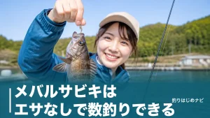 メバルサビキはエサなしで数釣りできる｜針5号・タナ・誘い方を初心者向けに徹底解説のアイキャッチ画像