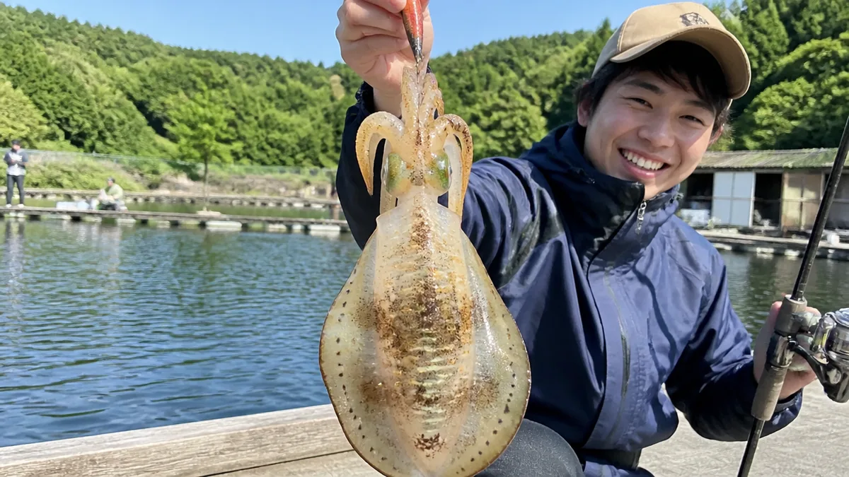 アオリイカの泳がせをウキなしでやると何が変わる?|ウキ釣りとの決定的な3つの違いの解説画像