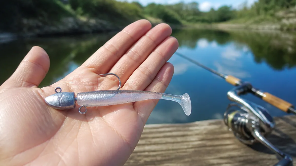 ワーム選びで釣果は変わる|110円のシャッドテールが本領を発揮する条件の解説画像