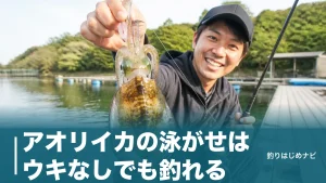 アオリイカの泳がせはウキなしでも釣れる｜底を攻める3つの仕掛けと合わせ方の全知識のアイキャッチ画像
