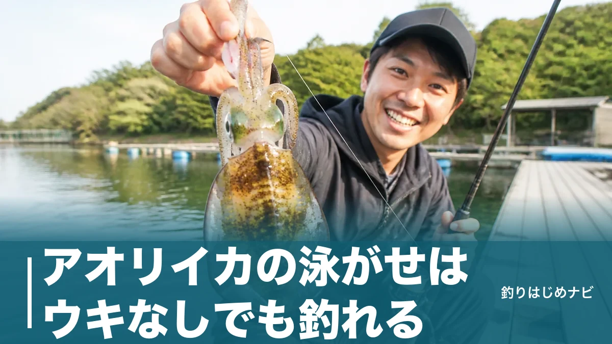 アオリイカの泳がせはウキなしでも釣れる|底を攻める3つの仕掛けと合わせ方の全知識のアイキャッチ画像