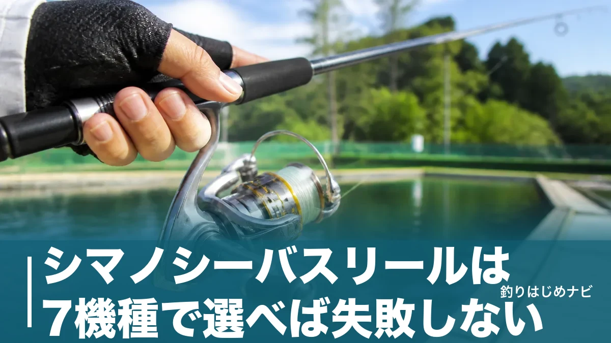 シマノシーバスリールは7機種で選べば失敗しない｜6,000円台から選ぶ番手・ギア比ガイドのアイキャッチ画像