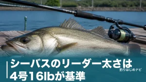 シーバスのリーダー太さは4号16lbが基準｜PE号数別の早見表と釣り場別の使い分けのアイキャッチ画像